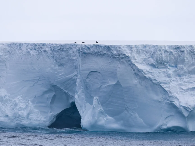 The largest iceberg in the world, A23a, could be headed for the British overseas territory of South Georgia. Jean-Felix Fayolle/Zeppel/SIPA/Shutterstock